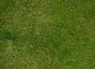 La semina 1122 0 La semina